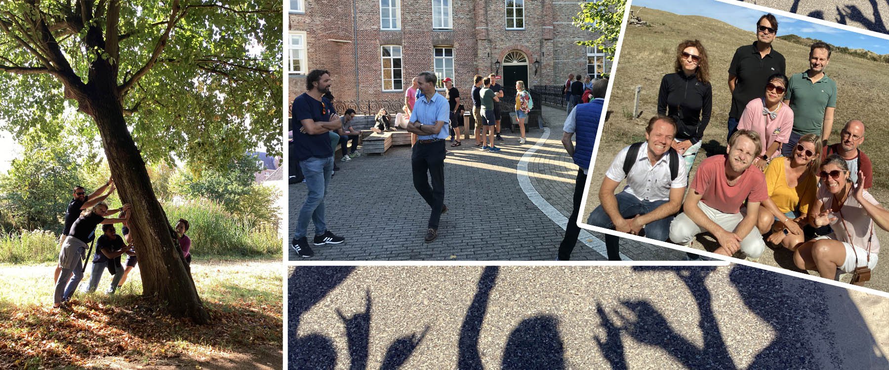 Duindropping Zeeland1.jpg