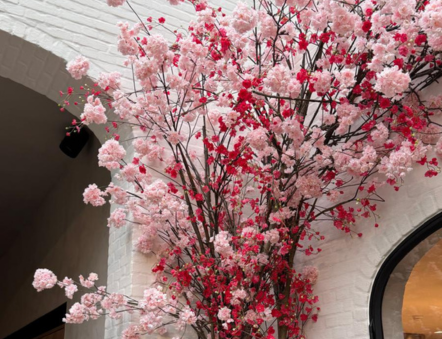 Event polaroid Botanic Antwerp (2)