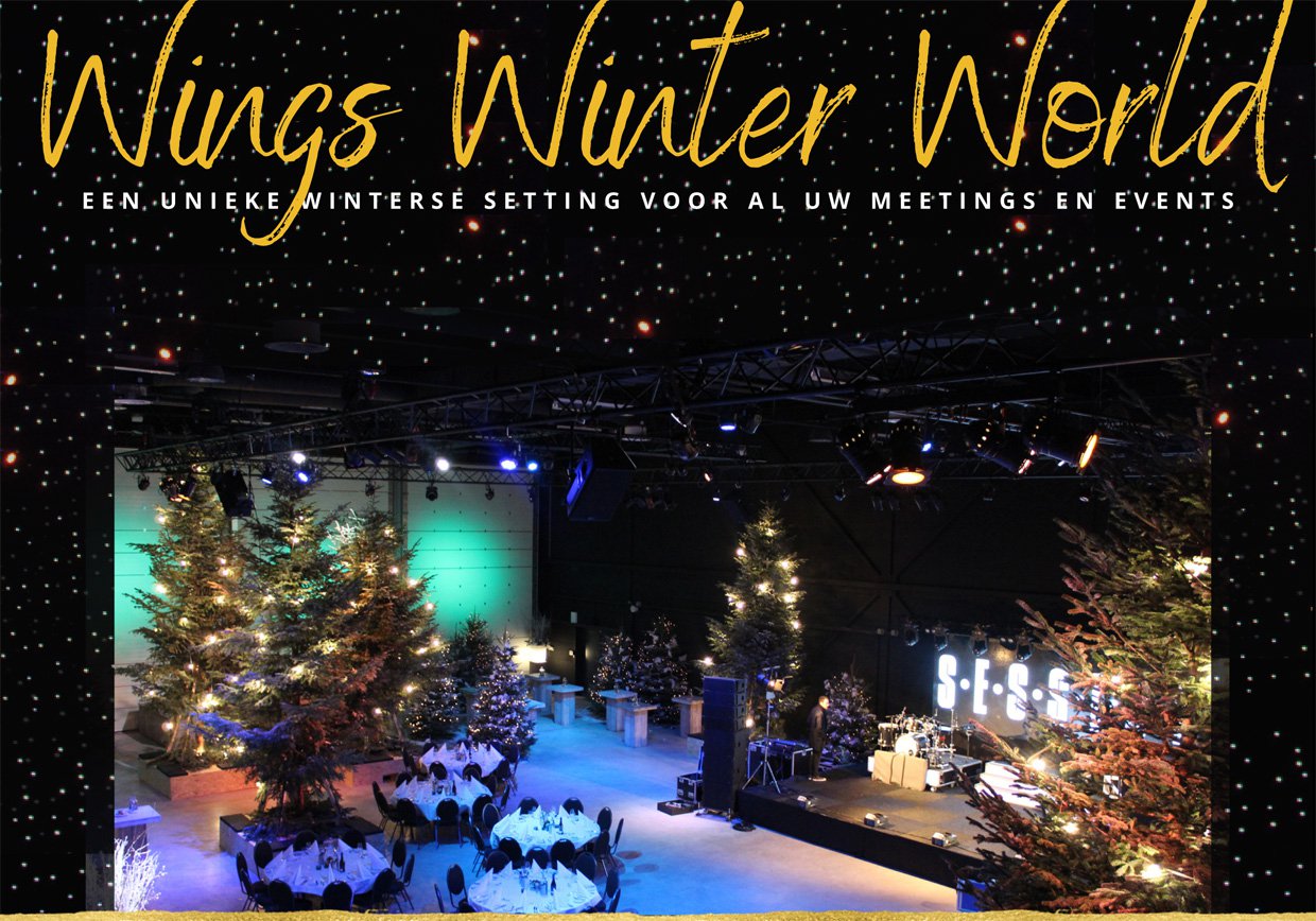 Flyer Wings Winter World-kl.jpg