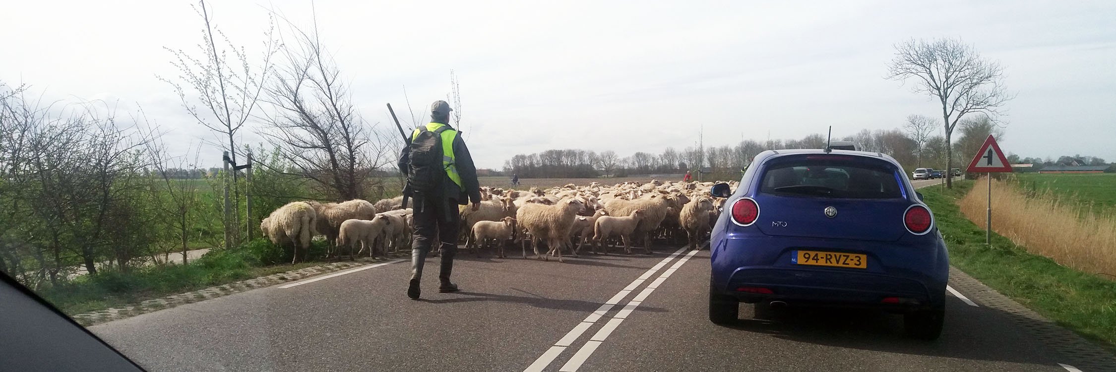 autorally tours 2.jpg